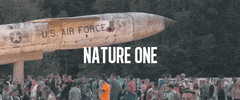 nature one GIF by Robin Schulz