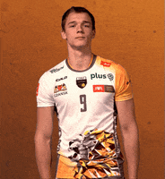 Volleyball Ok GIF by trefl_gdansk