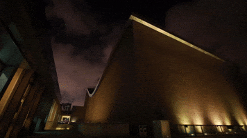 ShanghaiSO orchestra hall shanghai symphony GIF