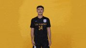 Cal State La Soccer GIF by Cal State LA Golden Eagles