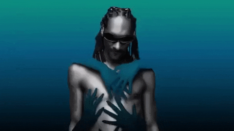 Snoop Dogg GIF by reactionseditor