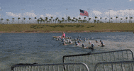 ProTriathletesOrg swim triathlon pto triathlete GIF