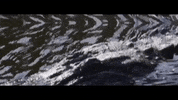 new orleans louisiana GIF