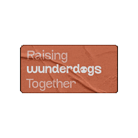 wunderdogae wonderdog wonder dog wunderdog wunder dog Sticker