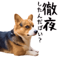 Corgi Milo Sticker