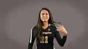 Volleyball Calstatela GIF by Cal State LA Golden Eagles