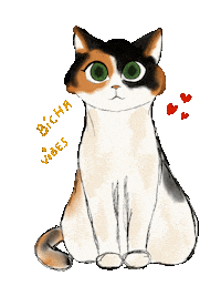 Cat Algeria Sticker
