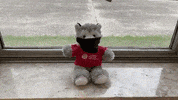 Wolf Pack Csu GIF by Cardinal Stritch University