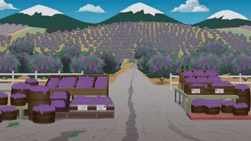 season 20 20x3 GIF by South Park 