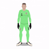 World Cup No GIF by Panini America