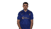 Tsg Hoffenheim Vbl Sticker by Bundesliga