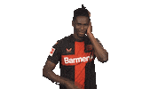 Bayer Leverkusen Dj Sticker by Bundesliga