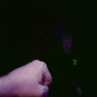 Ec Nico GIF