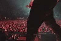 Ec Nico GIF
