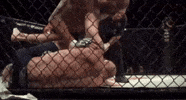10Thplanetorlando GIF by The Hive MMA