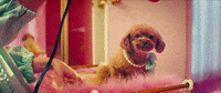 Small Talk GIF by Katy Perry