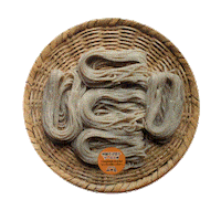 Japan Noodles Sticker