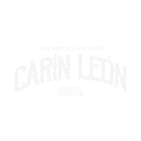 Carin Sticker by cmn_events