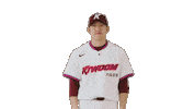 Kbo Sticker by Kiwoom Heroes Baseball Club