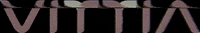 Vittiaoficial vittia GIF
