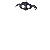 jiwonkodesign spider insects jiwonko jiwonkodesign Sticker