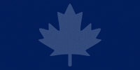 Toronto Maple Leafs GIF by PUCKerUp Sports