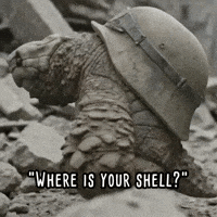 gray_turtle turtle military helmet sculpture GIF