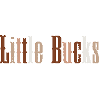 BuckWildCountry bts swipe up country new in Sticker