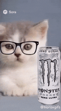 Mango Bigbro GIF