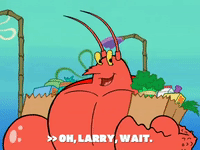 season 6 pet or pets GIF by SpongeBob SquarePants