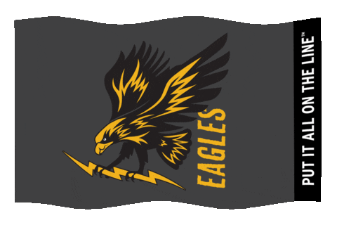 Flag Eagles Sticker by Southeast Lineman Training Center