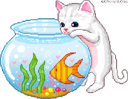 cute kitten STICKER