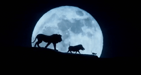 pedromartins44ef giphygifmaker lion king GIF