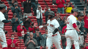 Regular Season Sport GIF by MLB