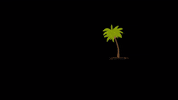 paraisorecords dance music spotify streaming GIF