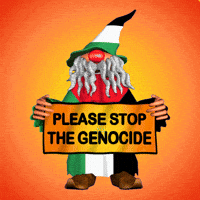 Israel Wizard GIF