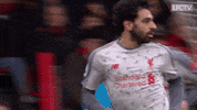 premier league football GIF by Liverpool FC