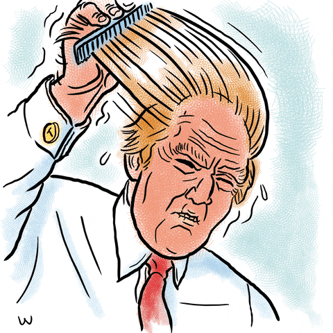 Trump GIF by MOODMAN