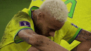 Sad Crying GIF