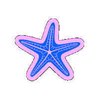 Beach Star Sticker by MotiveMarket