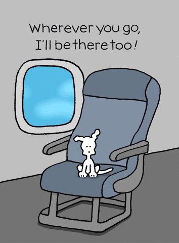 I Love You Dogs GIF by Chippy the Dog