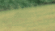 Photo gif. Looking over his shoulder at us, Donald Trump scoots into the frame, pauses, then scoots out of the frame.