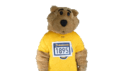 West Virginia Running Sticker by WVU Tech Golden Bears