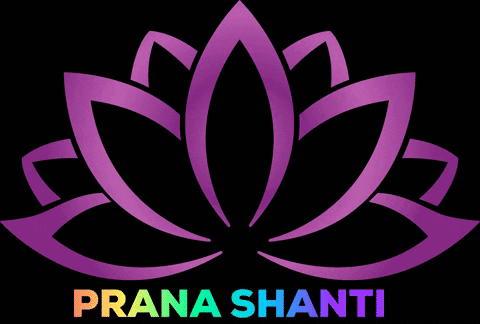 PranaShanti giphygifmaker shanti prana edelstenen GIF