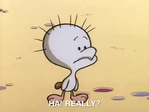 angry beavers nicksplat GIF