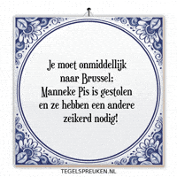 Drama Nl GIF by Tegelspreuken.nl