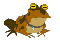 Toad Blinking Sticker