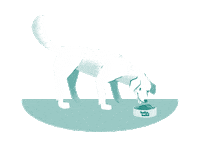 Hund Sticker by HelloBello Frischfutter