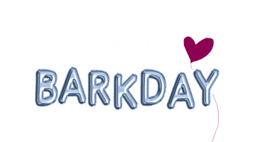 Happy Birthday Sticker by puppytales