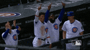 Major League Baseball Sport GIF by MLB